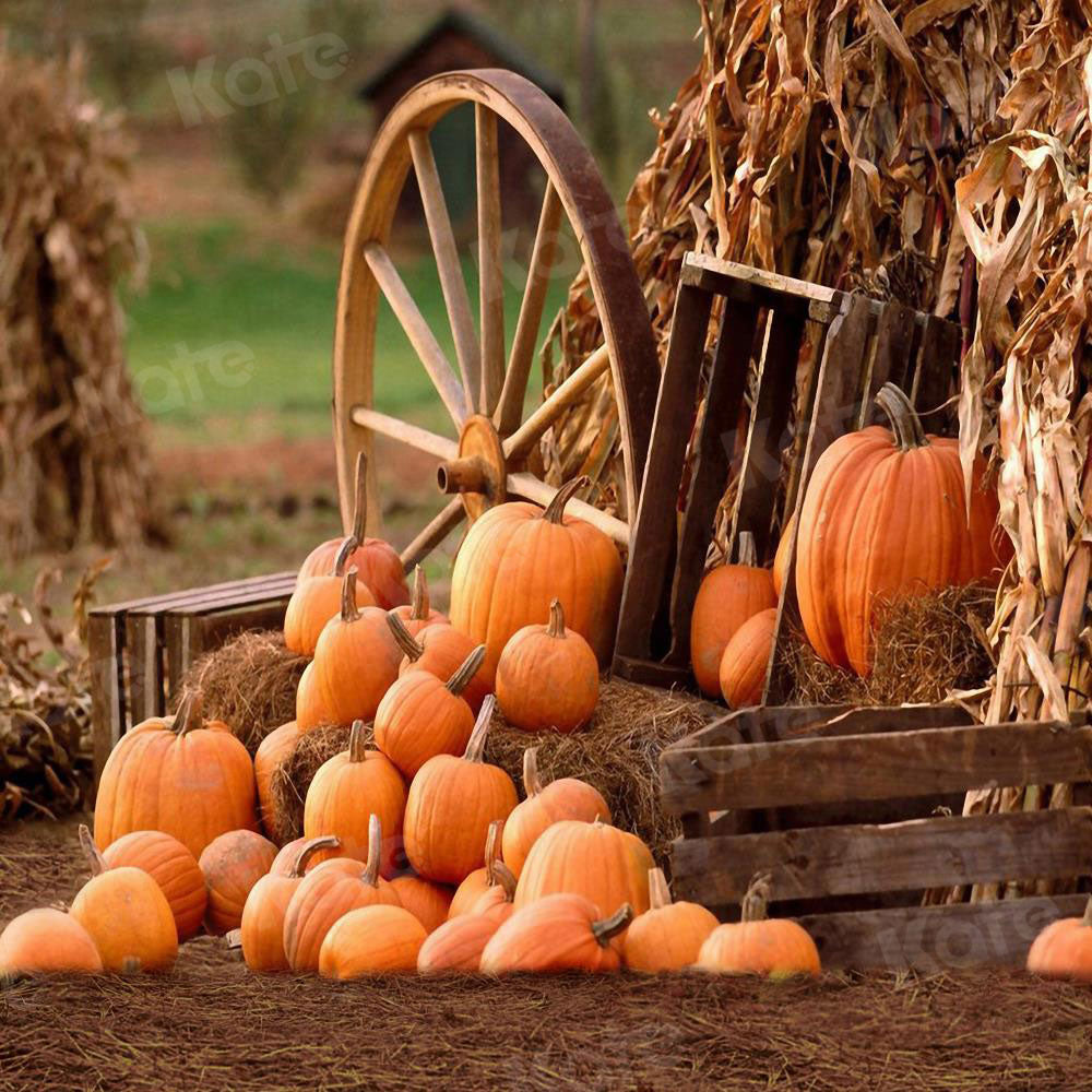 Kate Farm Harvest Fall with Pumpkin Backdrop for autumn - Kate Backdrop