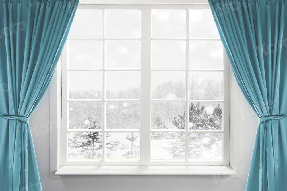 Kate Window Indoor Backdrop Winter Snow for Photography