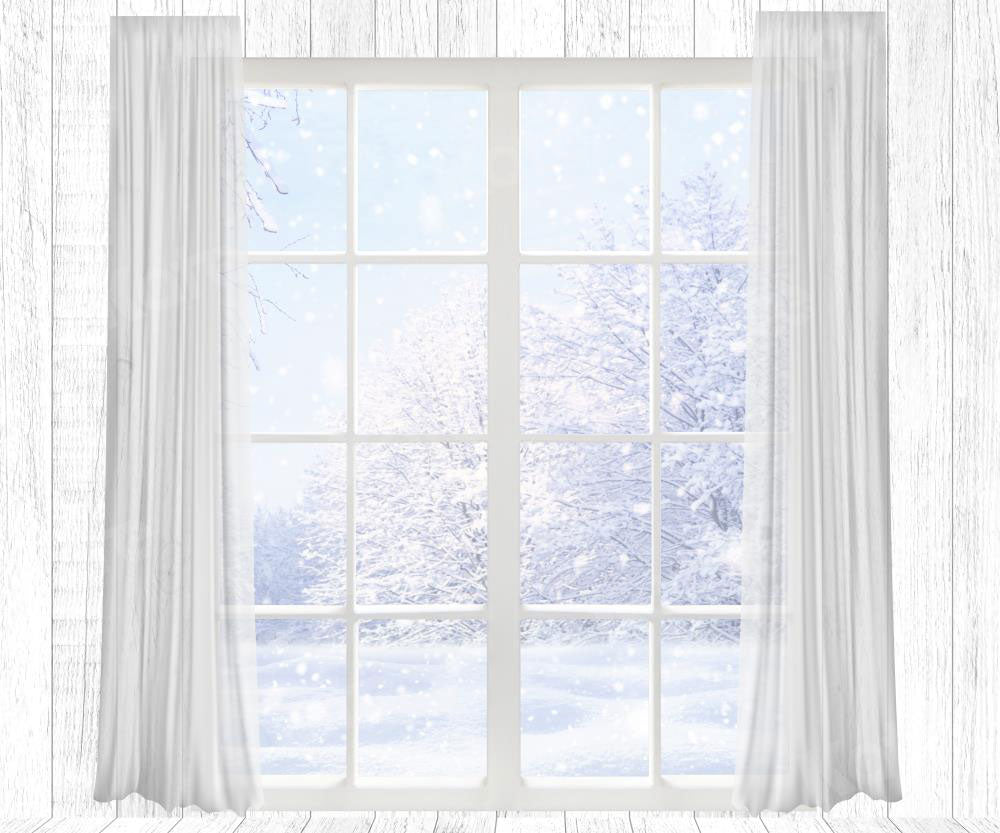 Kate Winter White Snow Backdrop Window for Photography