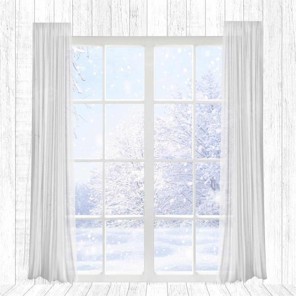 Kate Winter White Snow Backdrop Window for Photography