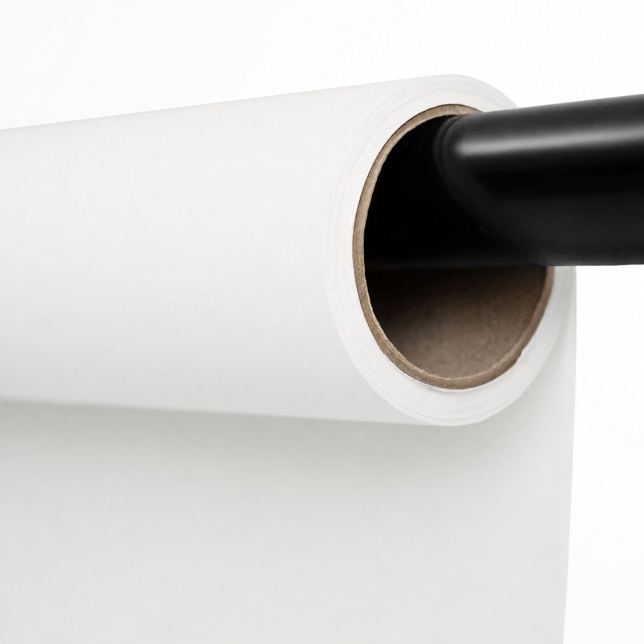 Arctic White seamless paper product photography from Kate's Monthly Charts